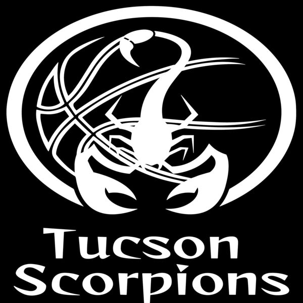 Scorpions vinyl sticker Thumbnail