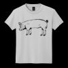 Youth DryBlend ® 50 Cotton/50 Poly T Shirt Thumbnail