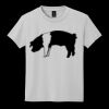 Youth DryBlend ® 50 Cotton/50 Poly T Shirt Thumbnail
