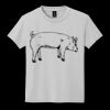 Youth DryBlend ® 50 Cotton/50 Poly T Shirt Thumbnail