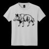 Youth DryBlend ® 50 Cotton/50 Poly T Shirt Thumbnail