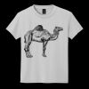 Youth DryBlend ® 50 Cotton/50 Poly T Shirt Thumbnail