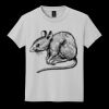 Youth DryBlend ® 50 Cotton/50 Poly T Shirt Thumbnail
