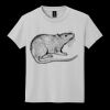 Youth DryBlend ® 50 Cotton/50 Poly T Shirt Thumbnail