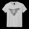 Youth DryBlend ® 50 Cotton/50 Poly T Shirt Thumbnail
