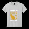 Youth DryBlend ® 50 Cotton/50 Poly T Shirt Thumbnail