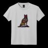 Youth DryBlend ® 50 Cotton/50 Poly T Shirt Thumbnail