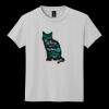Youth DryBlend ® 50 Cotton/50 Poly T Shirt Thumbnail