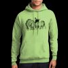 Core Fleece Pullover Hooded Sweatshirt Thumbnail